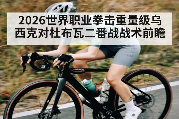 2026世界职业拳击重量级乌西克对杜布瓦二番战战术前瞻